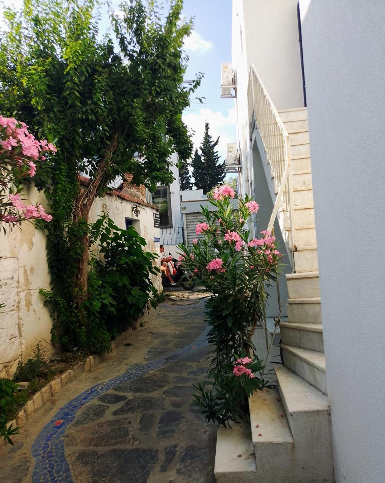 Kardelen Otel 博德鲁姆 外观 照片